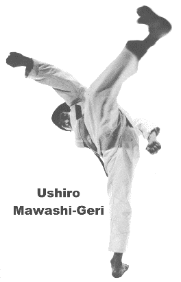 Ushiro Mawashi Geri